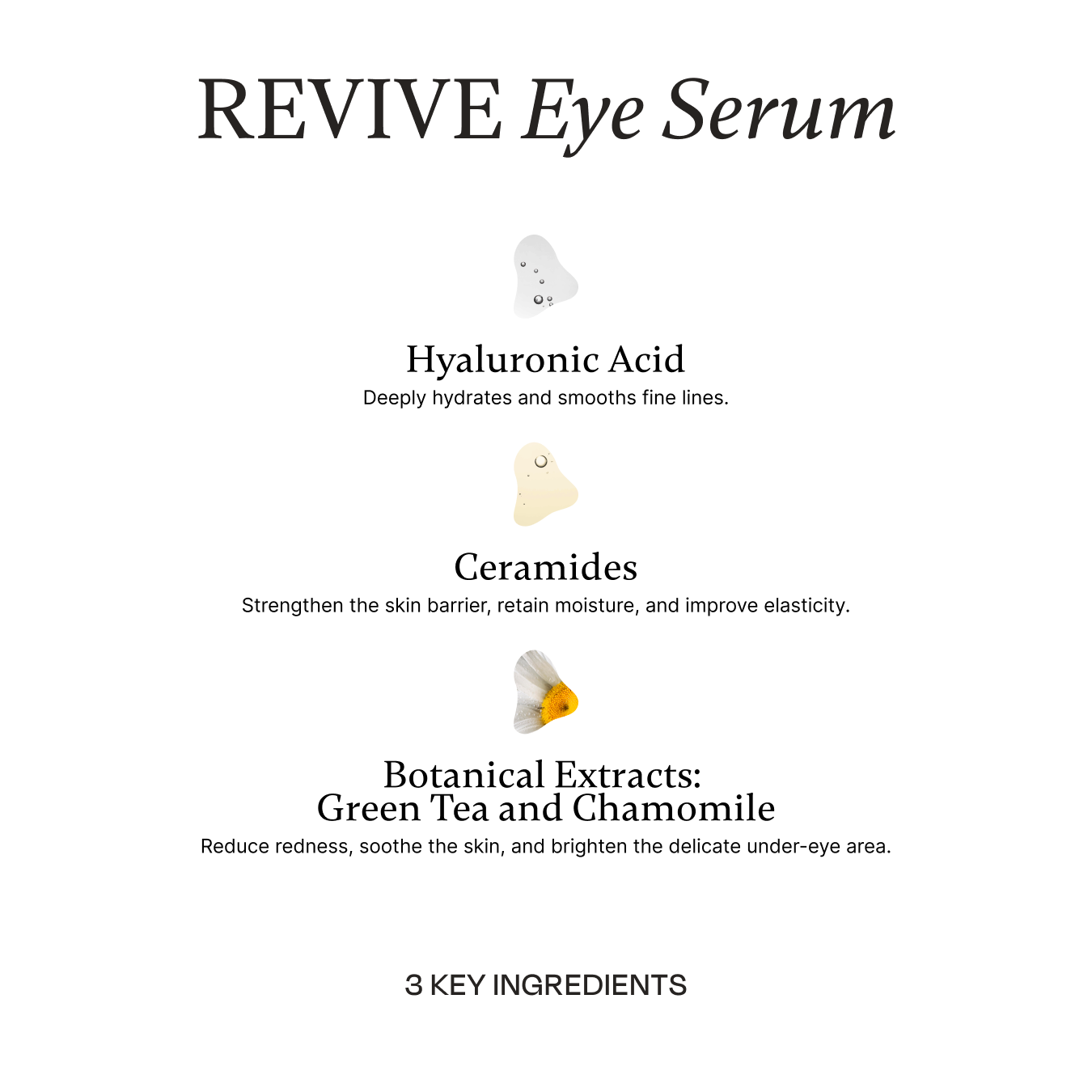 REJUVOLOGY Skincare Travel Trio