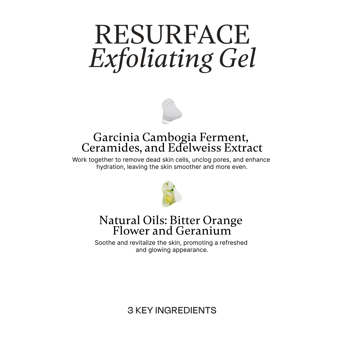 REJUVOLOGY Skincare Travel Trio