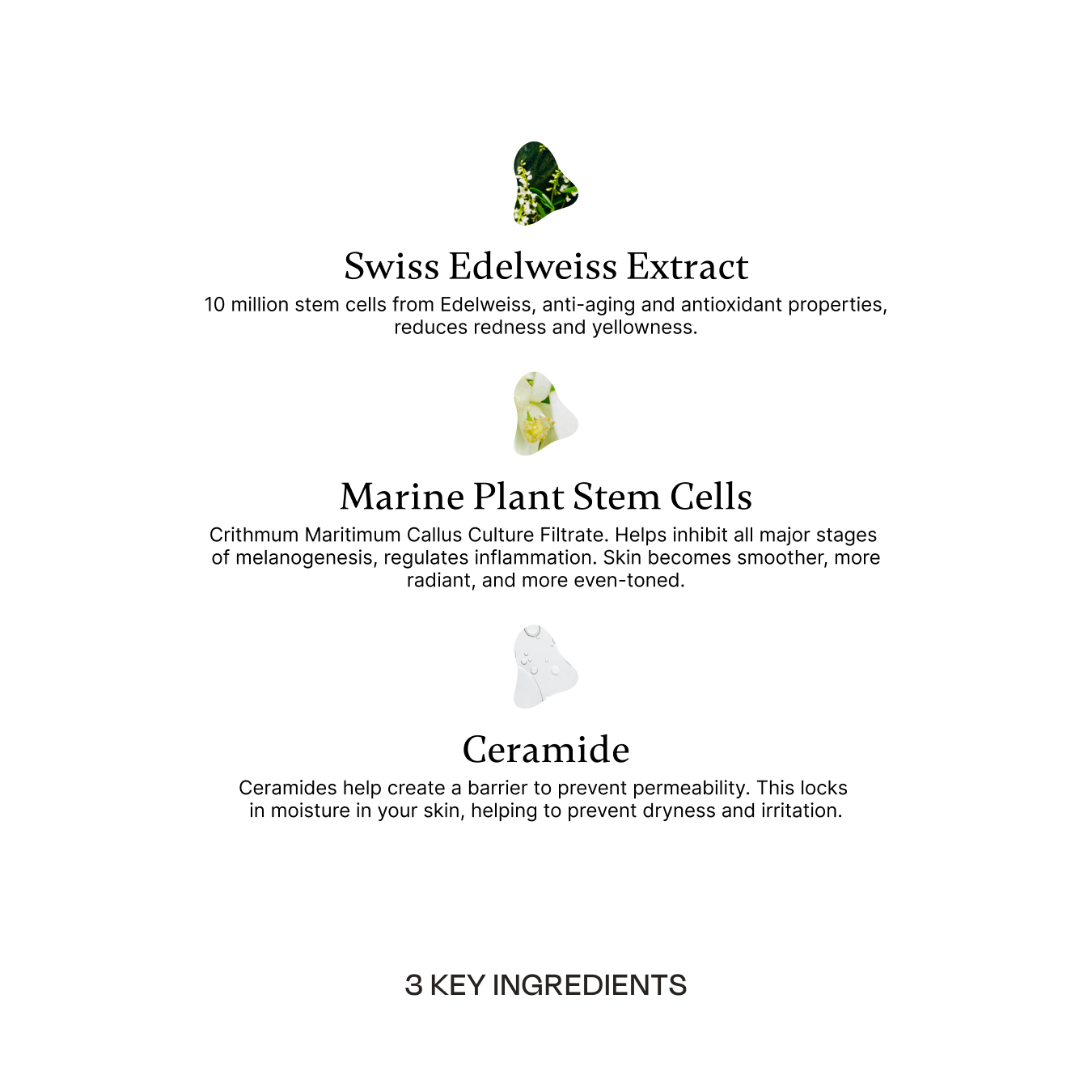 REVIVE Eye Serum 15ml